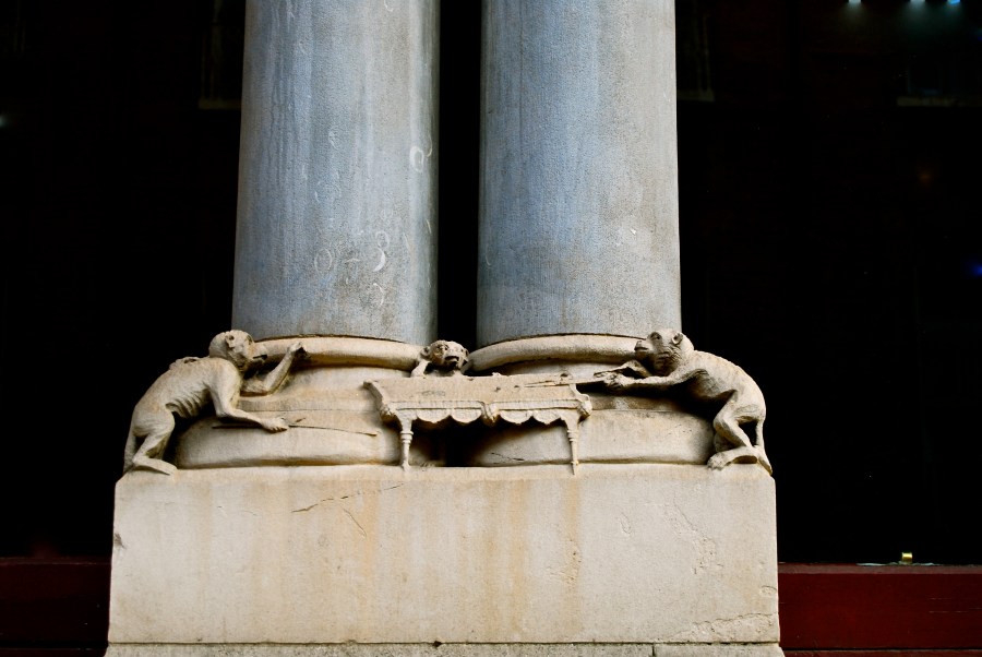 Monkeys playing billards
