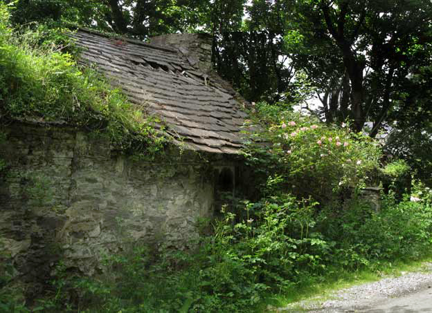 photo by Eoin Mac Lochlainn of a cottage in Donegal